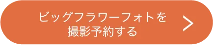 ビッグフラワーフォトを撮影予約する